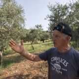 Pi� avanti un altro coltivatore sta sistemando la sua terra. Lui � qui dal 1985 e da allora continua a rendere fertile questa terra, nonostante i frequenti incendi estivi e soprattutto le piene della lama durante i temporali invernali